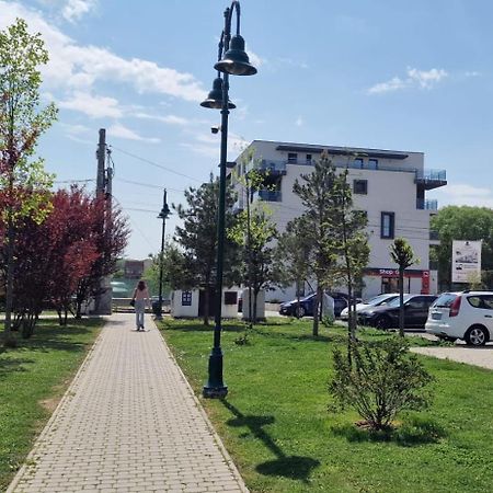 Amazing Apartament With Garden Bucharest Airport Self Check-In!! Otopeni Eksteriør billede