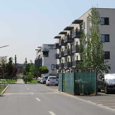Amazing Apartament With Garden Bucharest Airport Self Check-In!! Otopeni Eksteriør billede