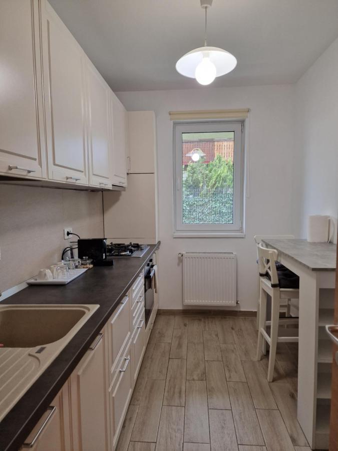 Amazing Apartament With Garden Bucharest Airport Self Check-In!! Otopeni Eksteriør billede