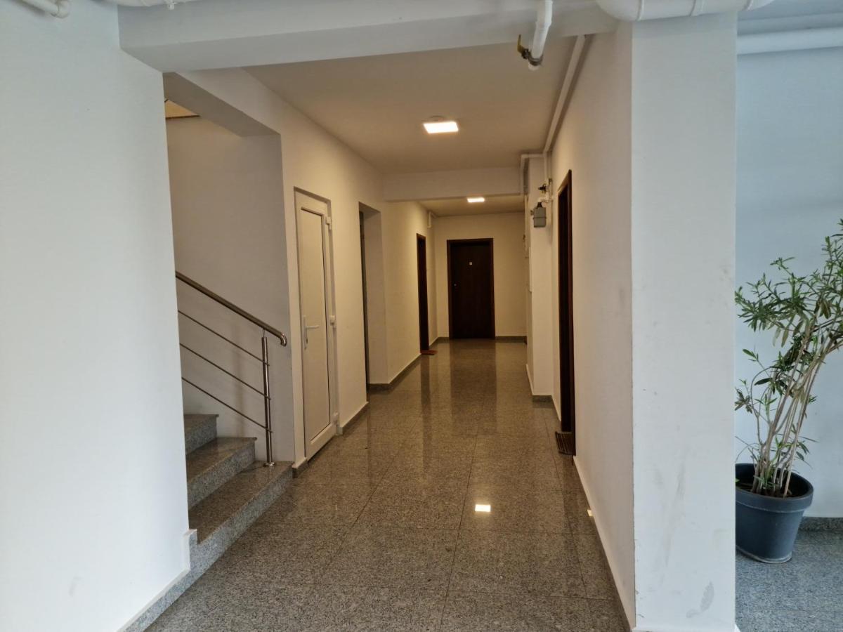 Amazing Apartament With Garden Bucharest Airport Self Check-In!! Otopeni Eksteriør billede