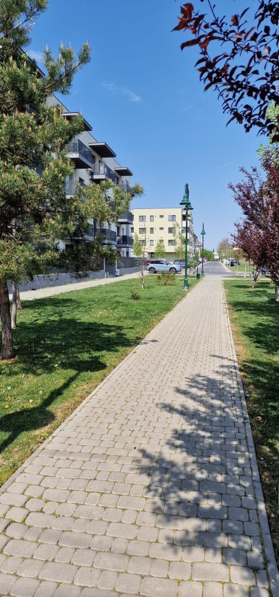 Amazing Apartament With Garden Bucharest Airport Self Check-In!! Otopeni Eksteriør billede